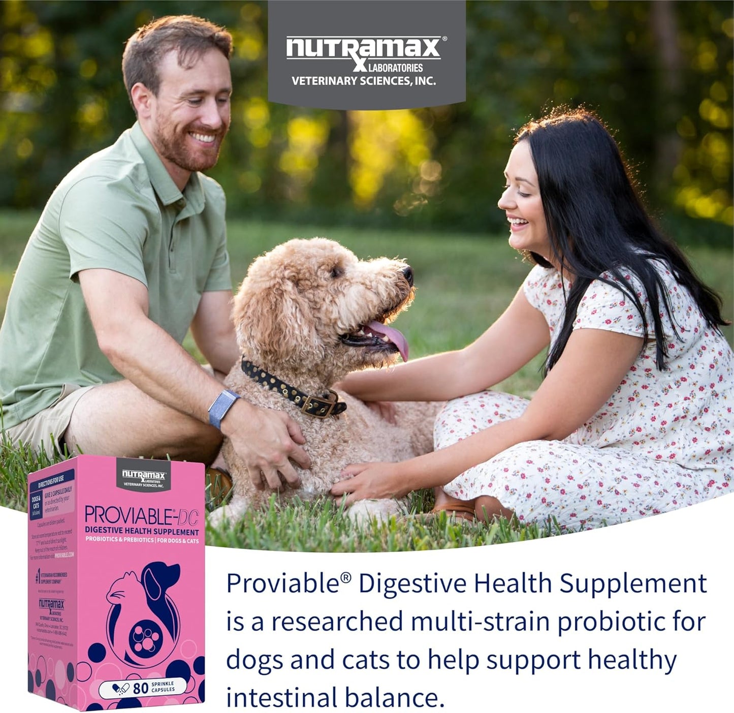Nutramax Proviable Probiotics for Dogs and Cats